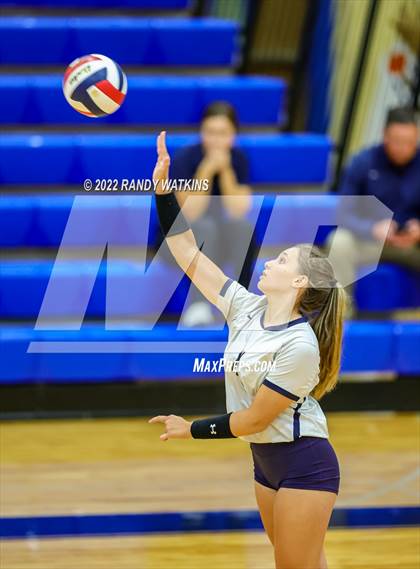 Thumbnail 1 in Birdville @ Keller photogallery.