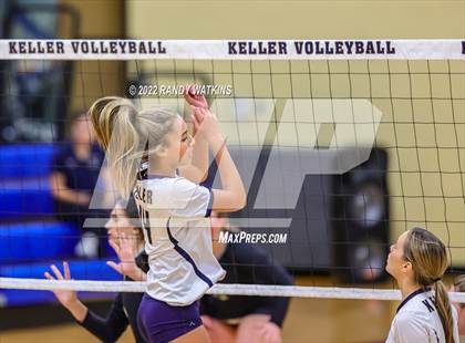 Thumbnail 3 in Birdville @ Keller photogallery.