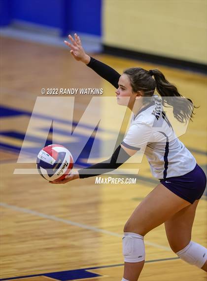Thumbnail 3 in Birdville @ Keller photogallery.