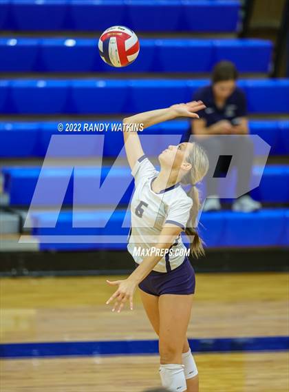 Thumbnail 3 in Birdville @ Keller photogallery.