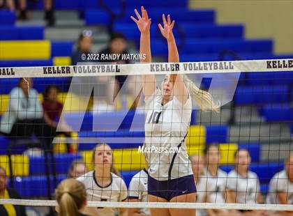 Thumbnail 2 in Birdville @ Keller photogallery.
