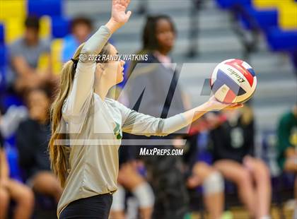 Thumbnail 3 in Birdville @ Keller photogallery.