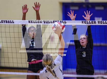 Thumbnail 2 in Birdville @ Keller photogallery.