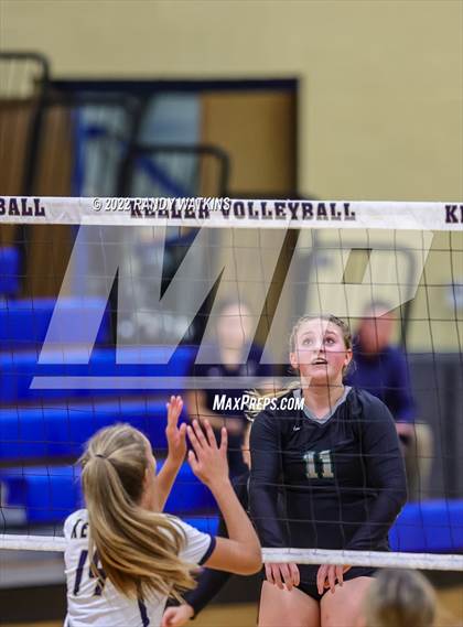 Thumbnail 3 in Birdville @ Keller photogallery.