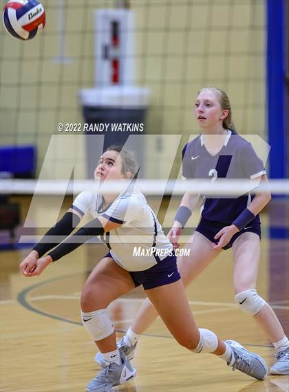 Thumbnail 2 in Birdville @ Keller photogallery.