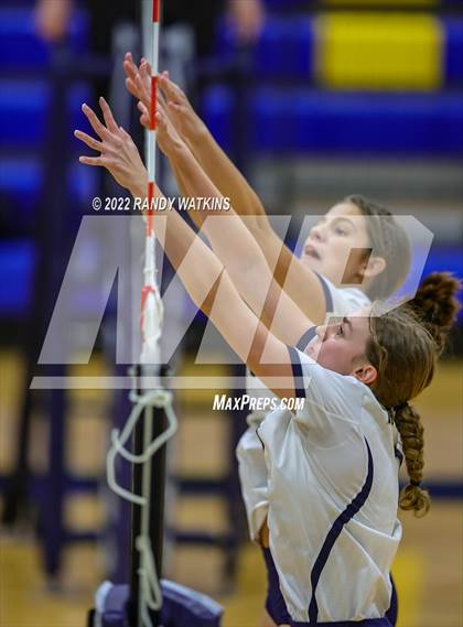 Thumbnail 2 in Birdville @ Keller photogallery.