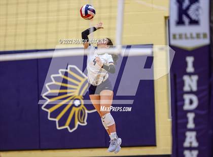Thumbnail 2 in Birdville @ Keller photogallery.