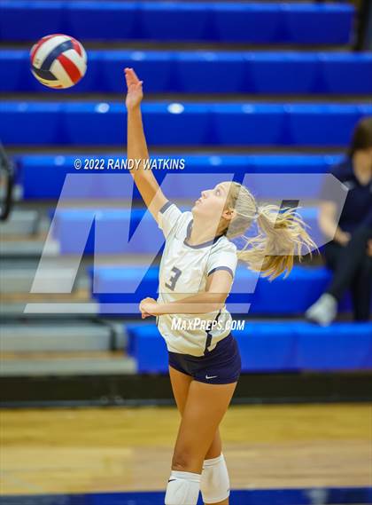 Thumbnail 3 in Birdville @ Keller photogallery.