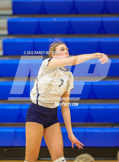 Thumbnail 3 in Birdville @ Keller photogallery.
