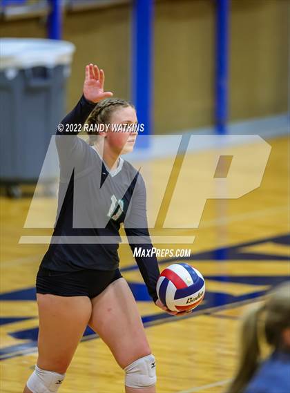 Thumbnail 1 in Birdville @ Keller photogallery.
