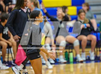 Thumbnail 1 in Birdville @ Keller photogallery.