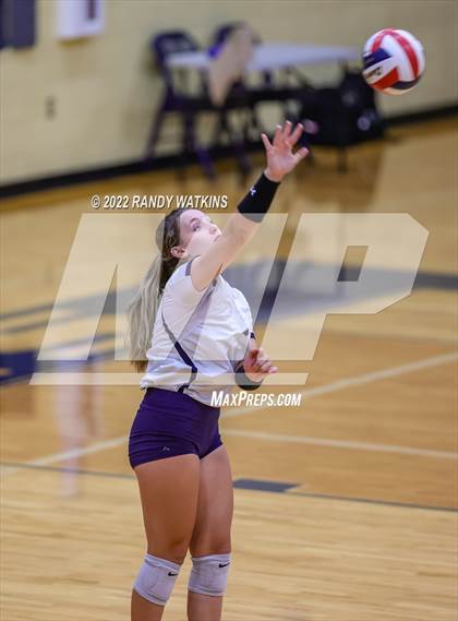 Thumbnail 1 in Birdville @ Keller photogallery.