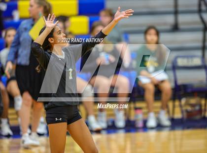 Thumbnail 2 in Birdville @ Keller photogallery.