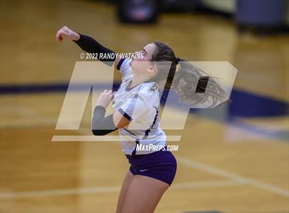 Thumbnail 2 in Birdville @ Keller photogallery.