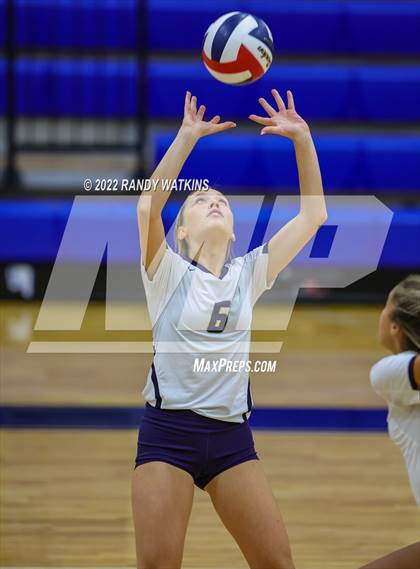Thumbnail 2 in Birdville @ Keller photogallery.