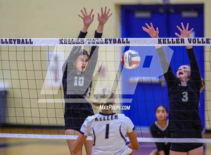 Thumbnail 1 in Birdville @ Keller photogallery.