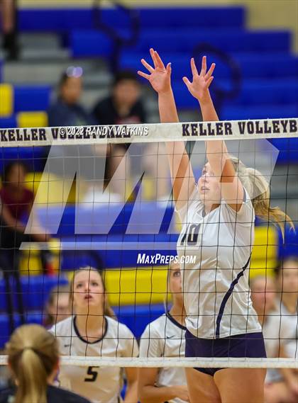 Thumbnail 1 in Birdville @ Keller photogallery.