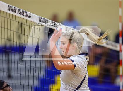 Thumbnail 3 in Birdville @ Keller photogallery.