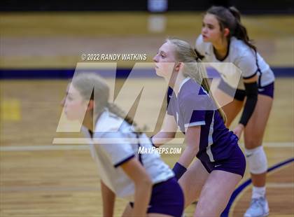 Thumbnail 1 in Birdville @ Keller photogallery.
