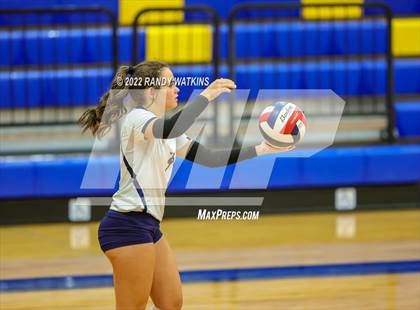 Thumbnail 1 in Birdville @ Keller photogallery.