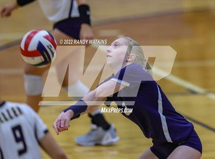 Thumbnail 3 in Birdville @ Keller photogallery.
