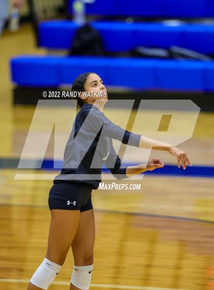 Thumbnail 3 in Birdville @ Keller photogallery.