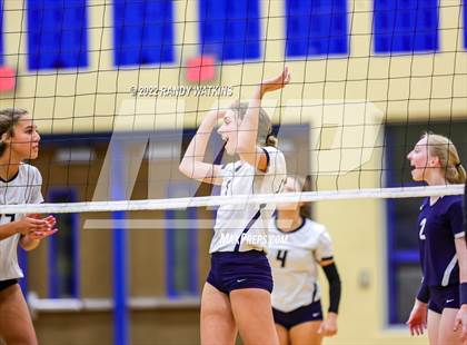Thumbnail 2 in Birdville @ Keller photogallery.