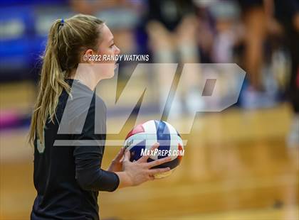 Thumbnail 1 in Birdville @ Keller photogallery.