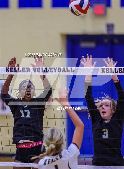 Thumbnail 3 in Birdville @ Keller photogallery.