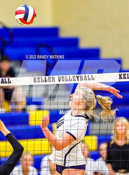 Thumbnail 1 in Birdville @ Keller photogallery.