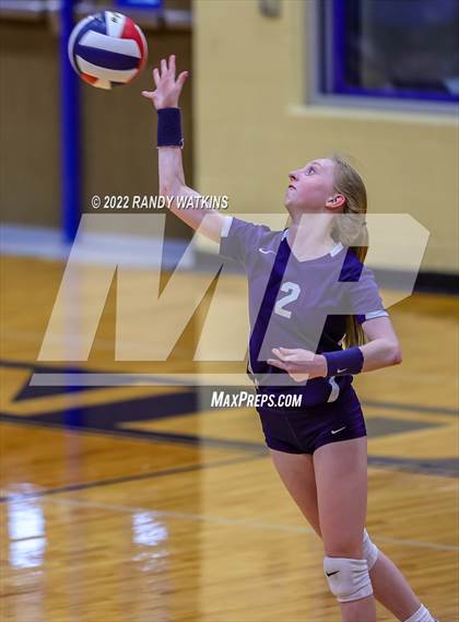 Thumbnail 1 in Birdville @ Keller photogallery.