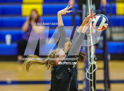 Thumbnail 1 in Birdville @ Keller photogallery.