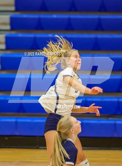 Thumbnail 1 in Birdville @ Keller photogallery.