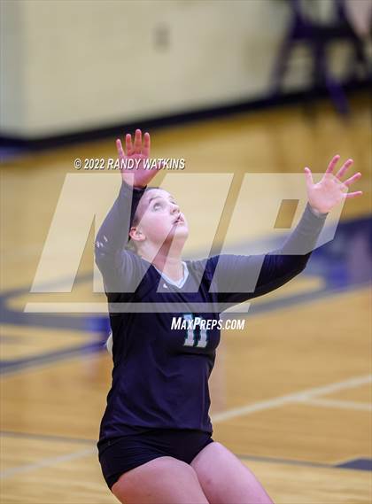 Thumbnail 2 in Birdville @ Keller photogallery.