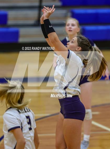 Thumbnail 2 in Birdville @ Keller photogallery.
