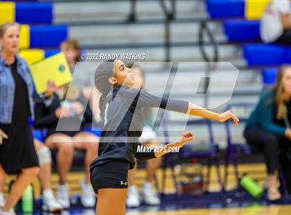 Thumbnail 3 in Birdville @ Keller photogallery.