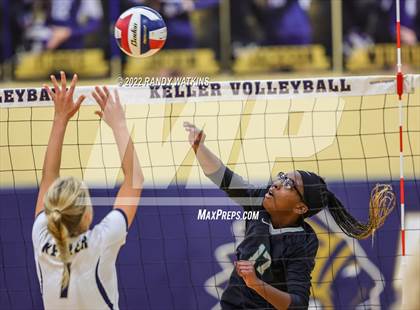 Thumbnail 1 in Birdville @ Keller photogallery.
