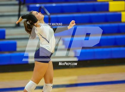 Thumbnail 2 in Birdville @ Keller photogallery.