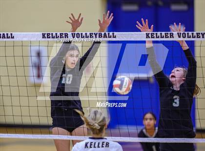Thumbnail 2 in Birdville @ Keller photogallery.