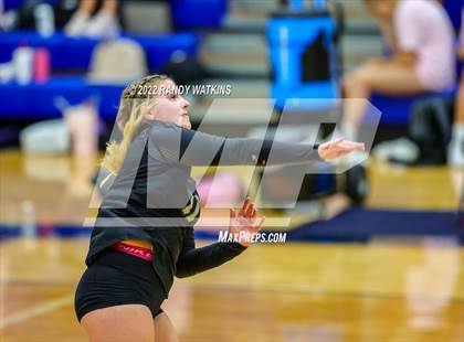 Thumbnail 3 in Birdville @ Keller photogallery.