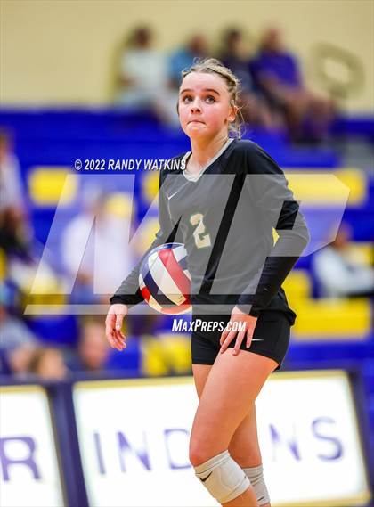 Thumbnail 2 in Birdville @ Keller photogallery.