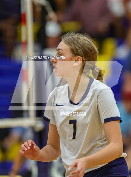 Thumbnail 1 in Birdville @ Keller photogallery.