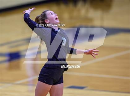 Thumbnail 2 in Birdville @ Keller photogallery.