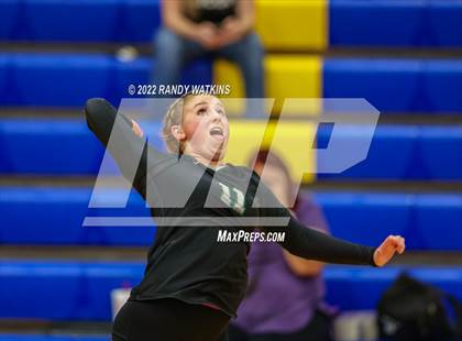 Thumbnail 1 in Birdville @ Keller photogallery.