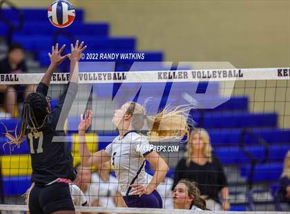 Thumbnail 3 in Birdville @ Keller photogallery.