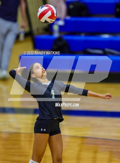Thumbnail 2 in Birdville @ Keller photogallery.