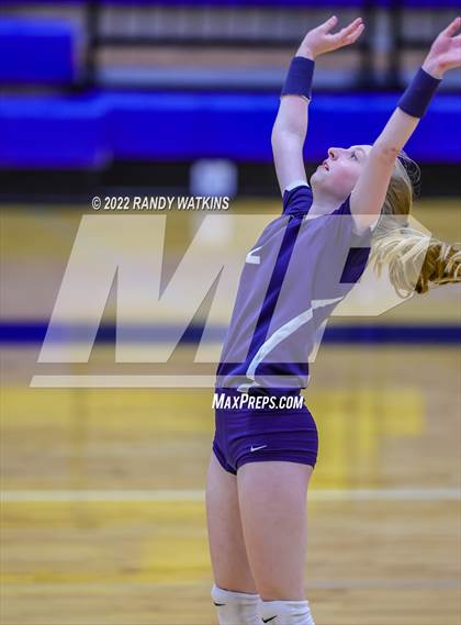 Thumbnail 3 in Birdville @ Keller photogallery.