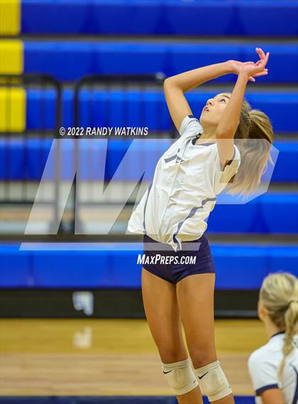 Thumbnail 3 in Birdville @ Keller photogallery.