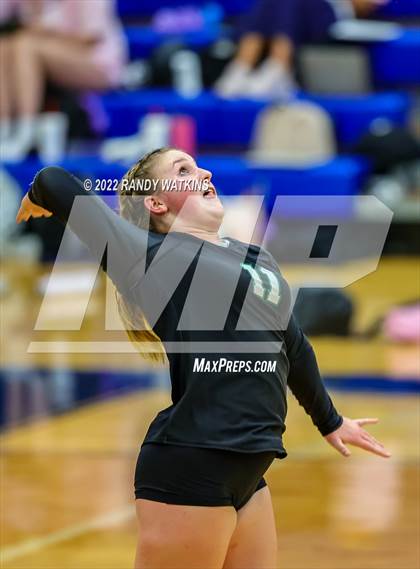 Thumbnail 2 in Birdville @ Keller photogallery.