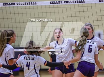 Thumbnail 2 in Birdville @ Keller photogallery.